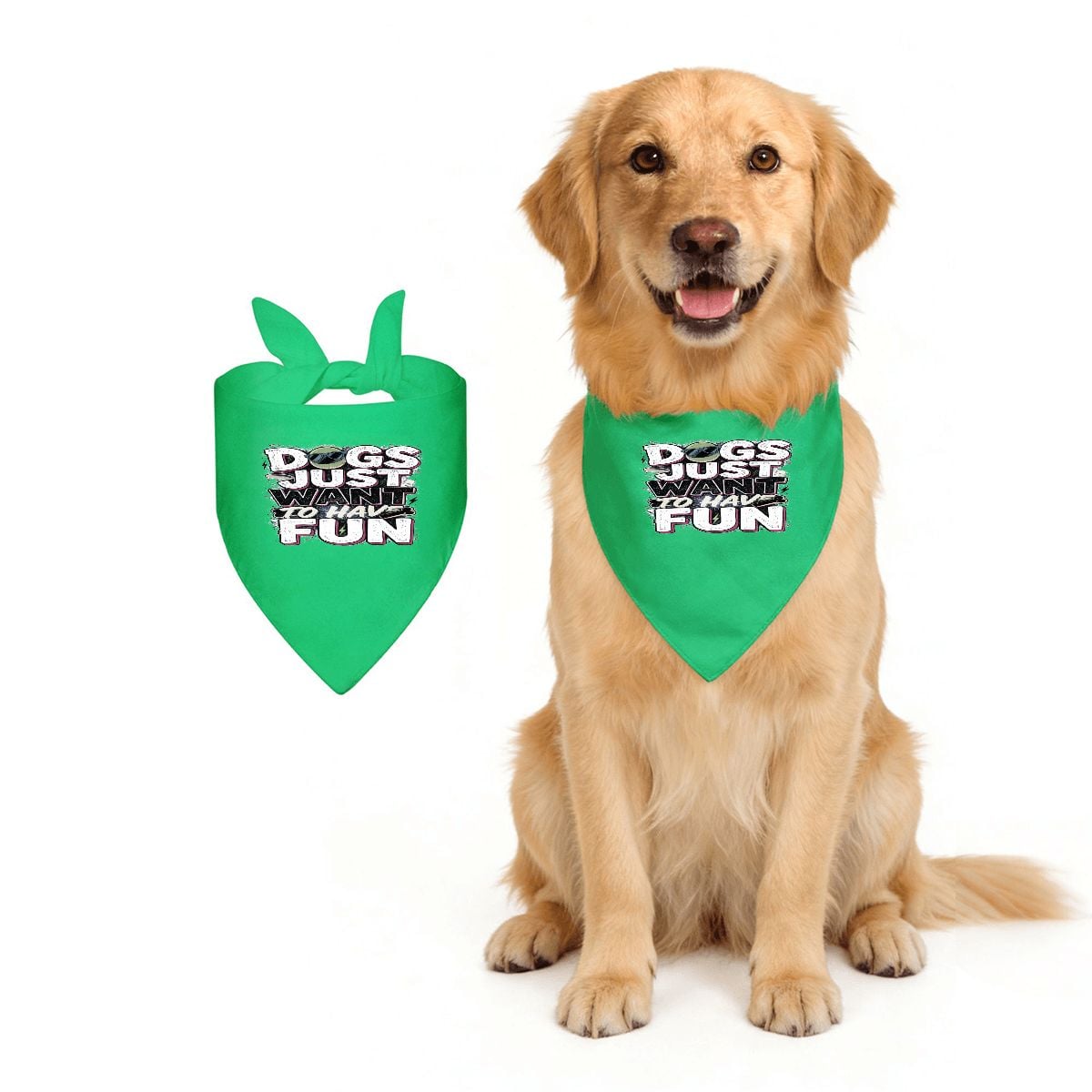 Dog Bandana | Dogs Just Want To Have Fun | Backyard Zoomie Green
