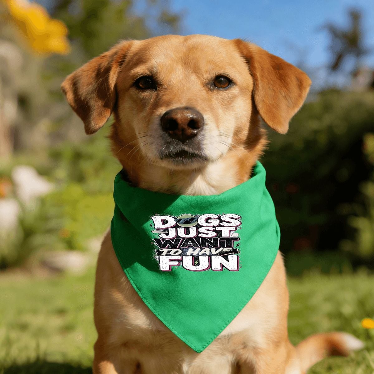 Dog Bandana | Dogs Just Want To Have Fun | Backyard Zoomie Green